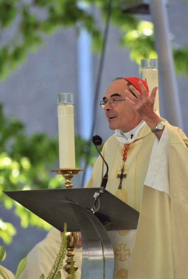 La Joie et la lumière de l’Assomption Lourdes 15 août 2016